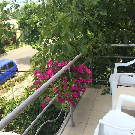 Guest house Casa Adelina